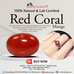 Buy Natural & Certified Moonga stone online from Rashi Ratan Bhagya at Best price