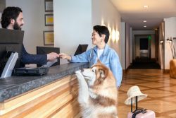 Pet-friendly hotels in Austin: Where Tails Wag & Hearts Sing!