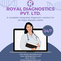 royal diagnostic centre jaipur