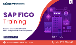 SAP FICO Training in Delhi