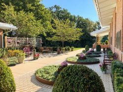 Perfect Lawn Landscaping in Waldwick – Popular Service for House