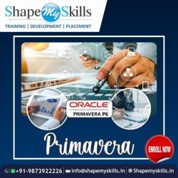 Top Primavera Training In Noida | ShapeMySkills