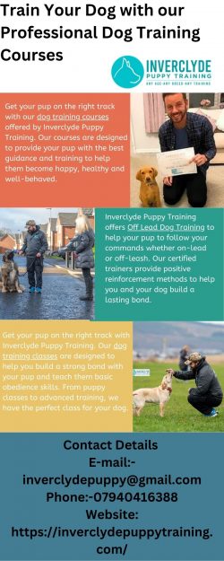 Find The Best Professional Dog Training Courses Online