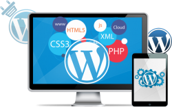 Top Web application development in kolkata