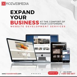 Website Development Company In Chicago