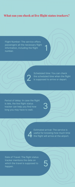 What can you check at live flight status trackers?