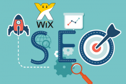 What are the Primary Objectives of Professional SEO Services?