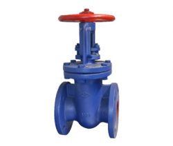 RISING STEM GATE VALVES