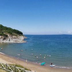 Aberporth Beach Dog Friendly