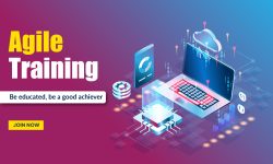 Agile Online Course