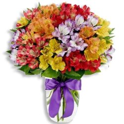 Top-Rated Flower Delivery Limassol | Cosmea Gardens.com