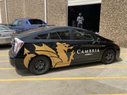 Attractive Car Wraps in Dallas, TX