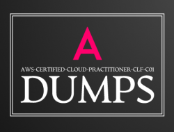 Amazon AWS-Certified-Cloud-Practitioner-CLF-C01 Exam Dumps