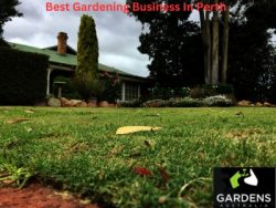 Discover The Best Gardening Business In Perth, For Your Garden