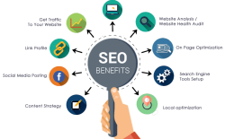 Top Seo Company In Jaipur