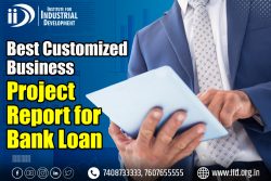 Best Customized Bankable Project Report For Bank Loan in 2023