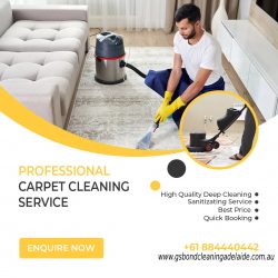 Carpet Cleaning Adelaide