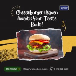 Cheeseburger Heaven Awaits Your Taste Buds