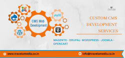 Custom CMS Development Services in India