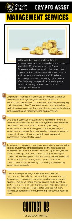 Maximizing Returns and Minimizing Risks: Unleashing the Power of Professional Crypto Asset Manag ...