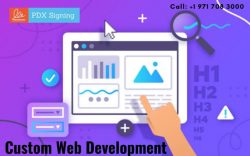 Custom Web Development