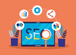 Get The Best Seo In NZ