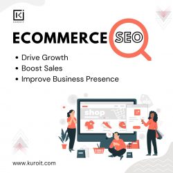 Ecommerce SEO Agency