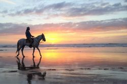 Experience the Thrill of Horse Riding with These Stunning Photos