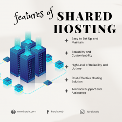 Shared Web Hosting