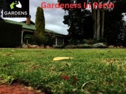 Are You Looking For Perth’s Best Gardeners In Australia