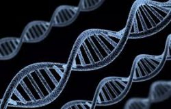 Genomics Market Size & Growth | Global Forecast 2023-28