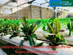 HGS Hydro: Your Reliable Hydro Store For Green Thumb Enthusiasts