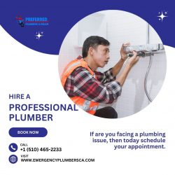 How Do I Hire a Professional Plumber?