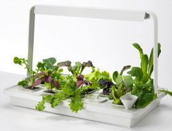 Best Hydroponic Suppliers Central Coast – Nutriflo Hydroponic Systems