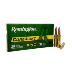 Top Rifle Calibers for Precision Shooting and Hunting