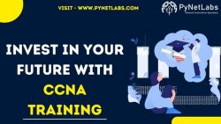 Invest In Your Future With CCNA Training