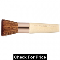 Best Pressed Powder Brush