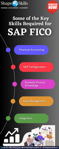 Key Skills Of SAP FICO Training in Noida | ShapeMySkills