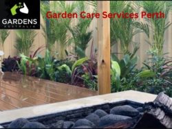 Look For The Best Garden Care Services In Perth