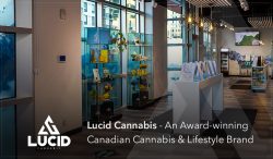 Lucid Cannabis – An Award-winning Canadian Cannabis & Lifestyle Brand