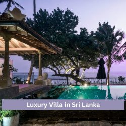 Luxury Villa in Sri Lanka