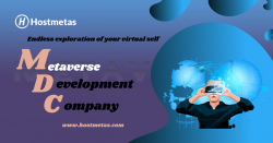 Metaverse Development Company