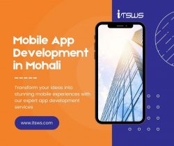 Mobile App Development in Mohali – ITSWS Technologies