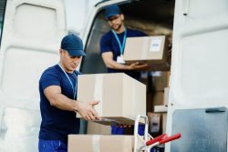 Are you in search of trustworthy and effective movers and packers?