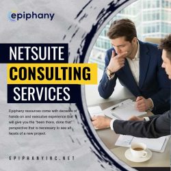 Are you in search of the best NetSuite consulting services?