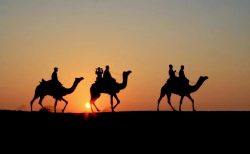 Book Desert Safari In Jaisalmer From JCRdesert