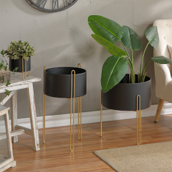 Decor And Plant Health Perks of Using Plant Pot Stand in Your Space