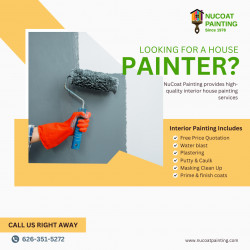 Professional Interior Painting Services