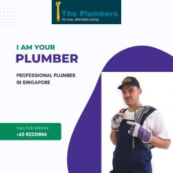 Professional Plumber in Singapore