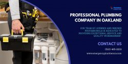 Professional Plumbing Company in Oakland